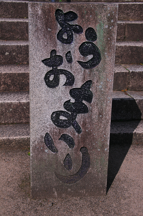 三室戸寺 春景(後編・花々の美しさ)_f0155048_11485862.jpg