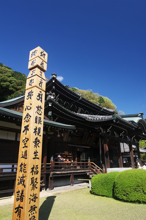 三室戸寺 春景(後編・花々の美しさ)_f0155048_11504076.jpg