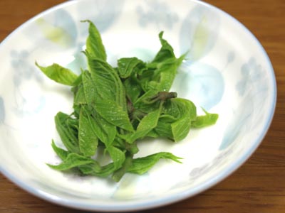 ☆レシピ・山菜・コシアブラの炊き込みご飯☆_c0092953_5363543.jpg