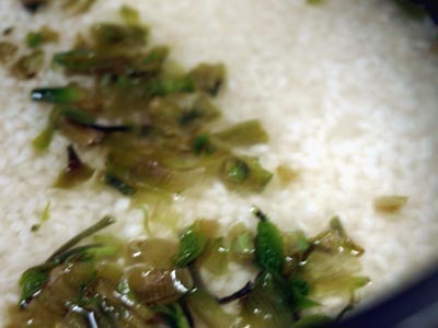 ☆レシピ・山菜・コシアブラの炊き込みご飯☆_c0092953_545267.jpg
