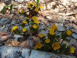 e0004756_9453442.jpg
