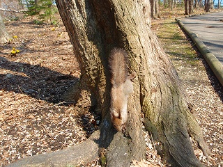 e0004756_9563867.jpg