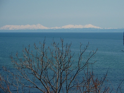 e0004756_9583861.jpg