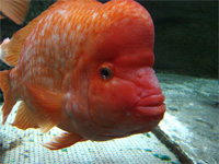青森へ行く。④ ~浅虫水族館へ行く~_f0232060_11384371.jpg