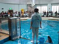 青森へ行く。④ ~浅虫水族館へ行く~_f0232060_11394284.jpg