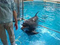 青森へ行く。④ ~浅虫水族館へ行く~_f0232060_11395073.jpg