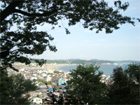 鎌倉へ行く。中編 ~長谷寺~ _f0232060_12181744.jpg