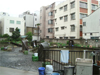 どしゃ降りの釣り堀に行く _f0232060_15161782.jpg