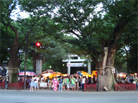 大國魂神社「すもも祭り」へ行く。_f0232060_1637760.jpg