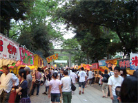 大國魂神社「すもも祭り」へ行く。_f0232060_1638529.jpg