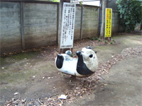 過去と自由と _f0232060_17454896.jpg