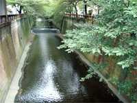 中目黒「青家」へ行く。_f0232060_1751718.jpg
