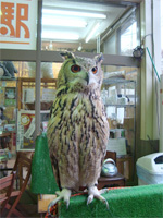 「三鷹の森ジブリ美術館」へ行く。 _f0232060_18353714.jpg