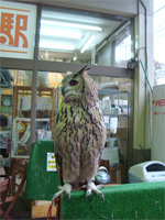 「三鷹の森ジブリ美術館」へ行く。 _f0232060_18354572.jpg
