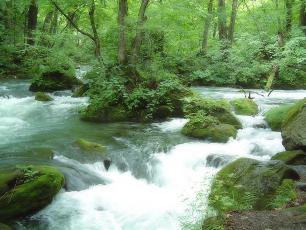 c0067272_22284727.jpg