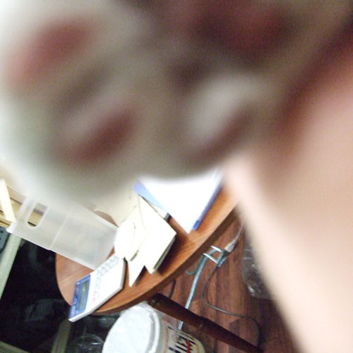 e0008674_17105819.jpg