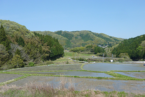 体が重い。。。とてつもなく。。。_c0107075_1637279.jpg