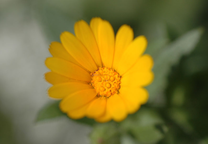 b0057679_746455.jpg