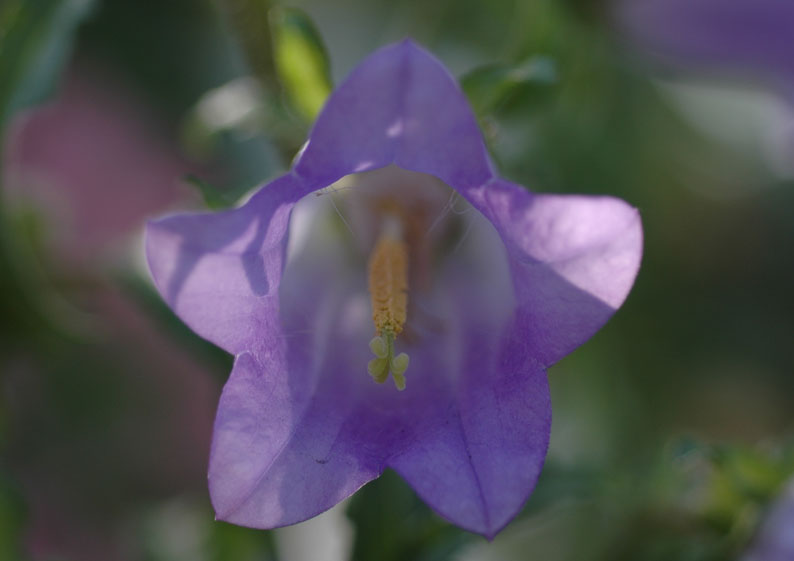 b0057679_747078.jpg