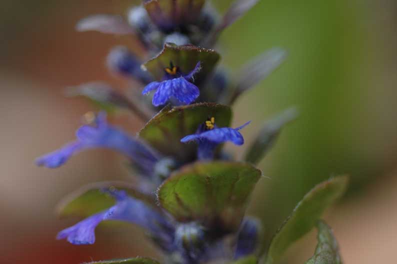 b0057679_7475956.jpg