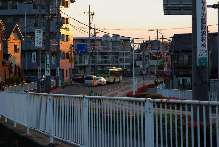 b0120979_719229.jpg