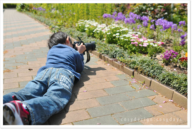 屋上公園の花　Nikon D300_a0018480_016178.jpg