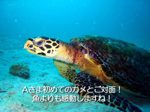 ある意味大物?ダイビングに登場!!_f0144385_22402050.jpg
