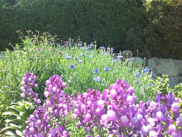 f0077595_845842.jpg