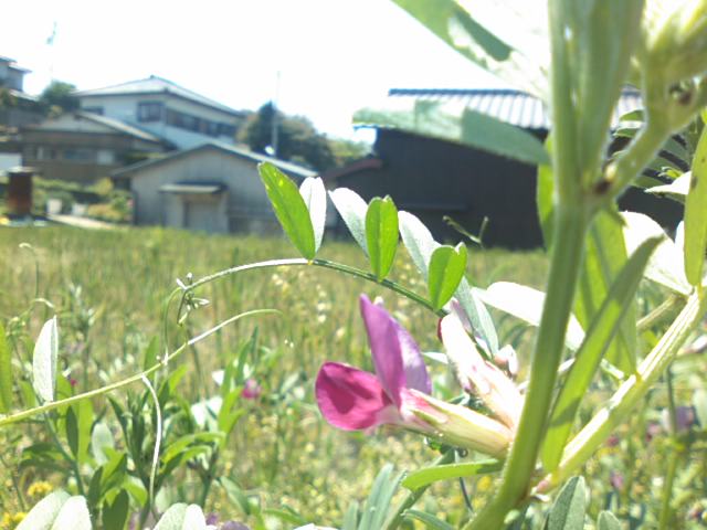 f0077595_845862.jpg