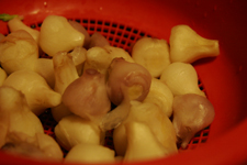 ムスカリを食す!_f0106597_3192688.jpg