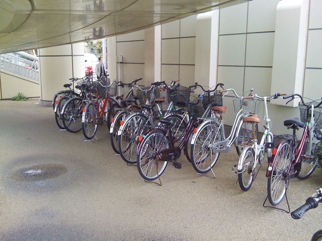 歩道橋下の土地_f0153098_1316271.jpg