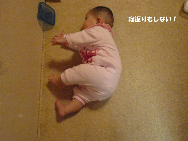 e0094407_02038.jpg