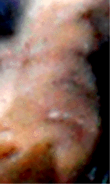e0103408_1342842.gif