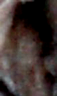 e0103408_13512661.gif