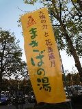 c0196611_23295072.jpg