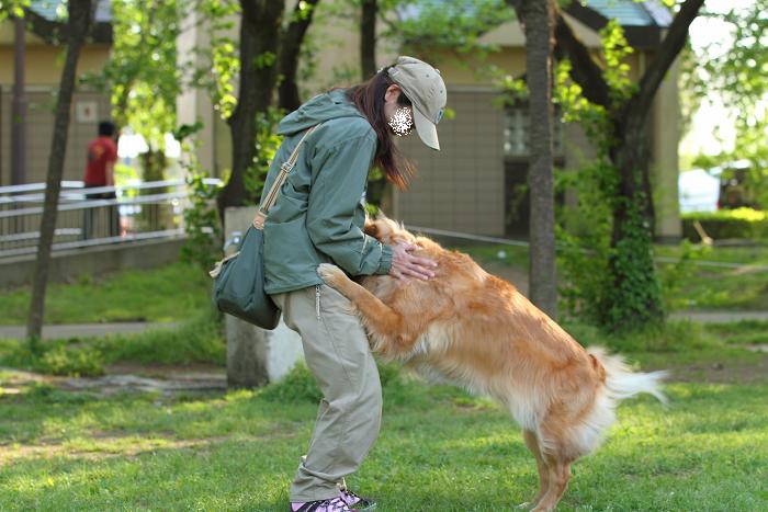 ２年ぶりの・・・「訓練王座賞決定競技会」in秋が瀬_c0159512_23163053.jpg