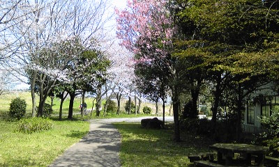 f0232417_19843.jpg