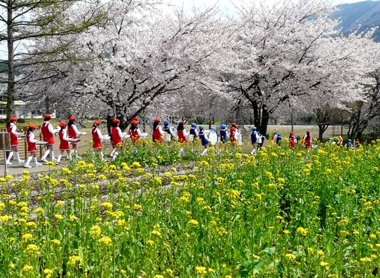 飯山市菜の花畑と桜_d0066822_19501366.jpg