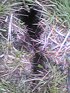 e0110824_04487.jpg