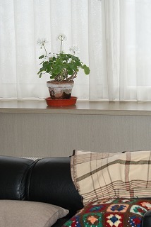 f0170524_14213210.jpg