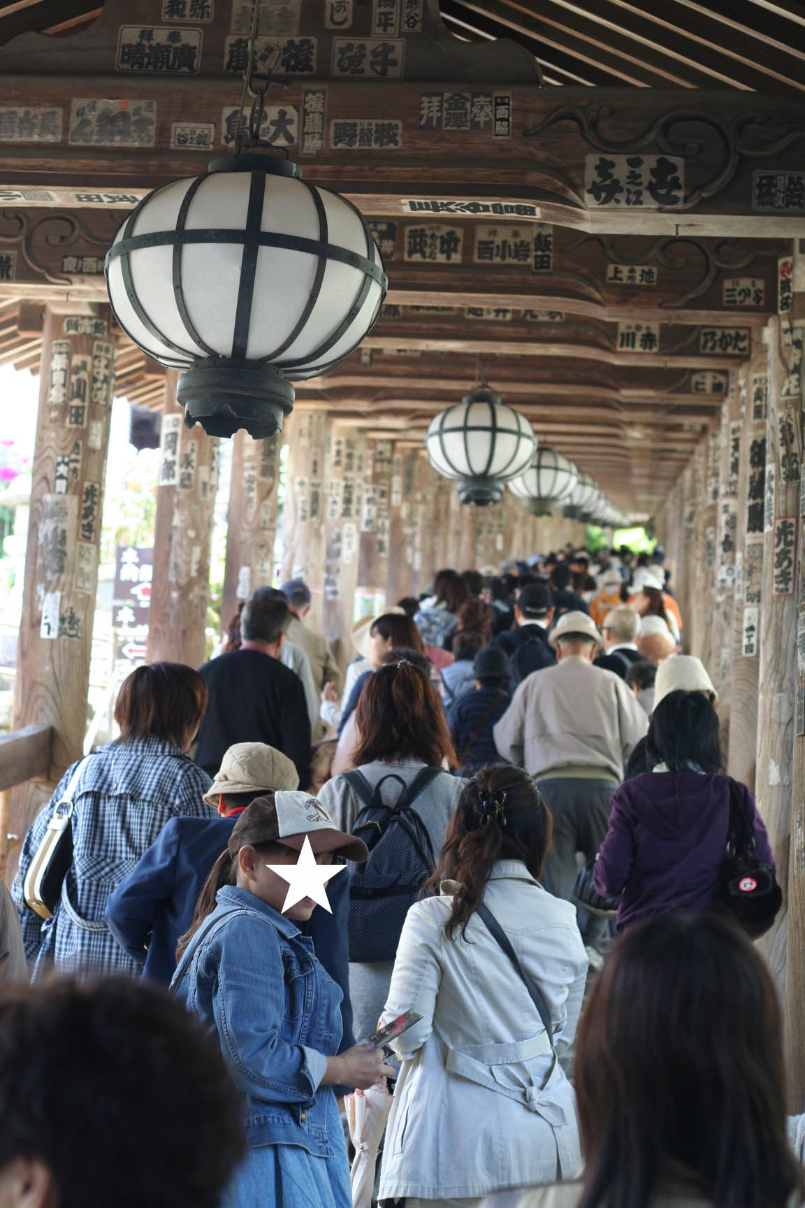 花の御寺/長谷寺_a0078126_12492214.jpg