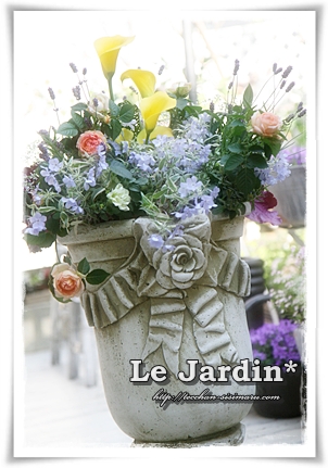 Le Jardin*_f0137336_23395065.jpg