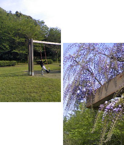 f0200036_22453083.jpg
