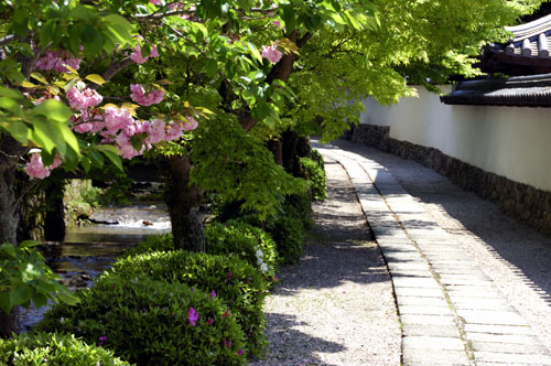 天野山　金剛寺。_b0143240_17173951.jpg