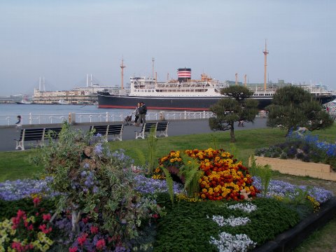 朝の横浜公園と、夕方の山下公園　under the blue sky._c0012640_2013256.jpg