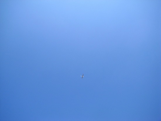 d0113340_2358045.jpg