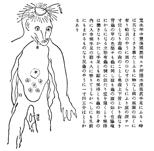 野菜が食べたい_d0108041_1235574.gif