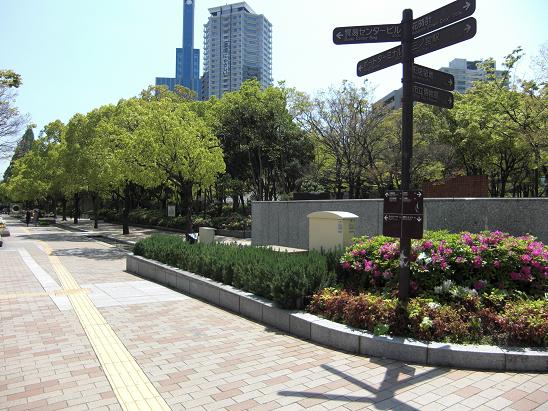 b0189343_23982.jpg