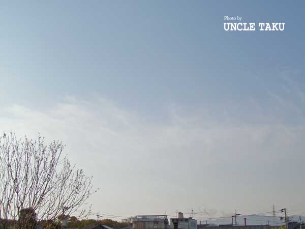 d0119443_13575343.jpg