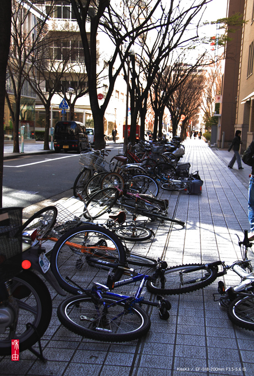 \"The Former Foreign Settlement\" KOBE #09. March 2010_c0187744_1975372.jpg